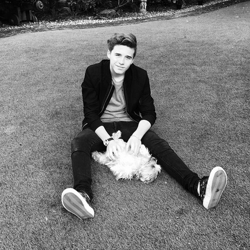 Brooklyn Beckham gosar med sin hund Twiggy. Brooklyn Beckham gosar med sin hund Twiggy.